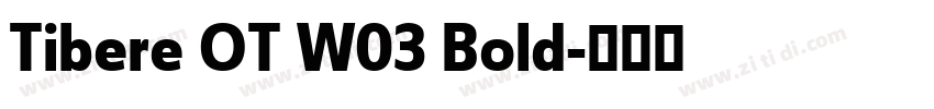 Tibere OT W03 Bold字体转换